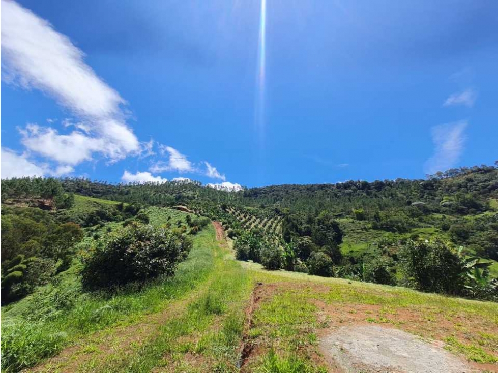 VENTA DE TERRENO EN JERICÓ VEREDA LA PRADERA - 6