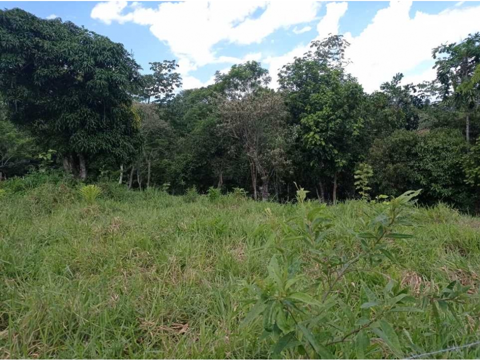 VENCAMBIO LOTE EN SAN JERÓNIMO VEREDA QUIMBAYO - 5