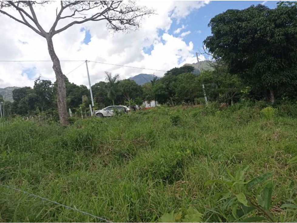 VENCAMBIO LOTE EN SAN JERÓNIMO VEREDA QUIMBAYO - 6