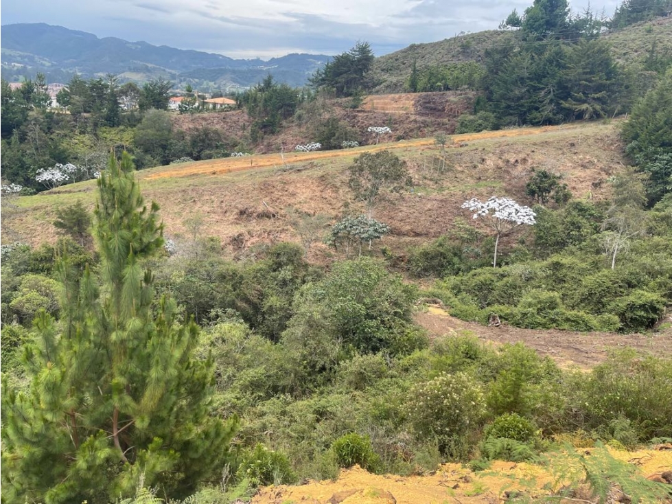 VENCAMBIO/ PERMUTA LOTE EN EL MIRADOR DE LA CEJA — foto 5