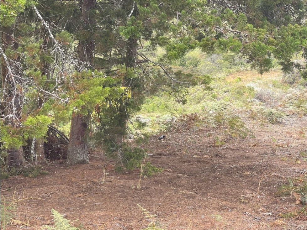 VENCAMBIO/ PERMUTA LOTE EN EL MIRADOR DE LA CEJA — foto 6