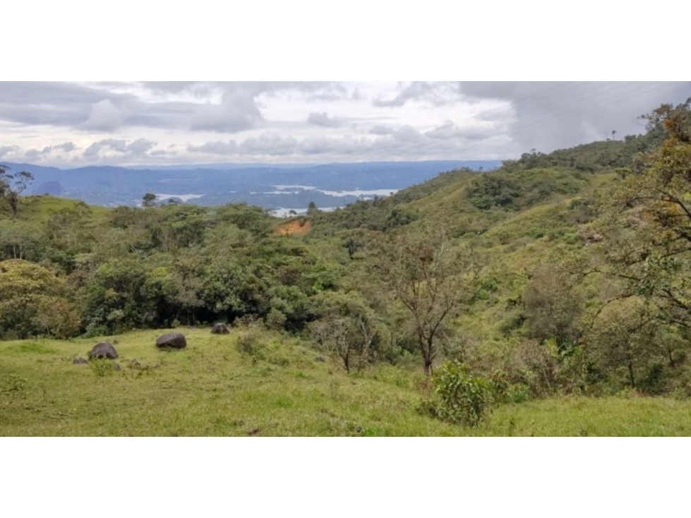 VENTA FINCA LOTE EN GUATAPE GRAN OPORTUNIDAD DE INVERSIÓN — foto 5