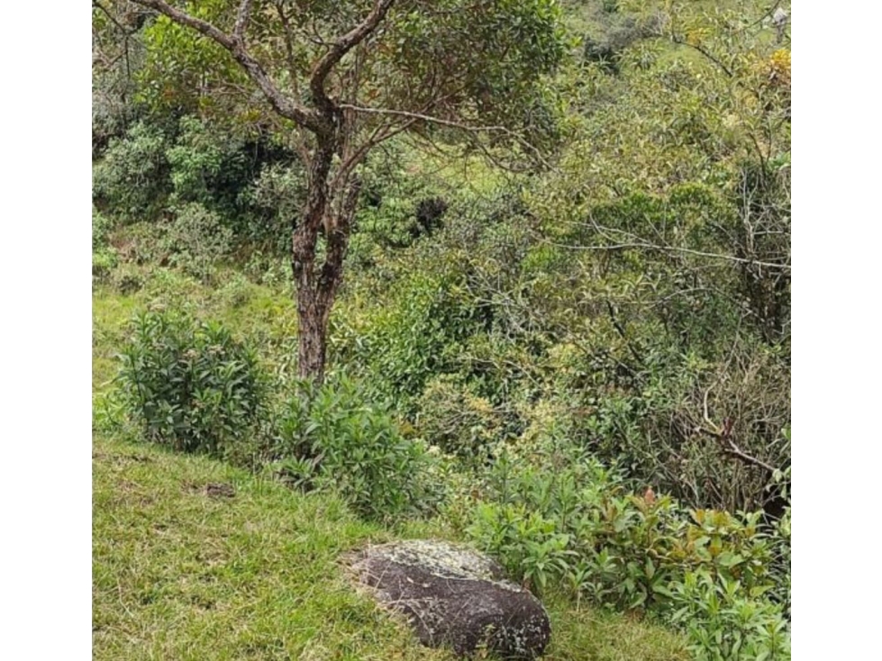 VENTA FINCA LOTE EN GUATAPE GRAN OPORTUNIDAD DE INVERSIÓN — foto 6
