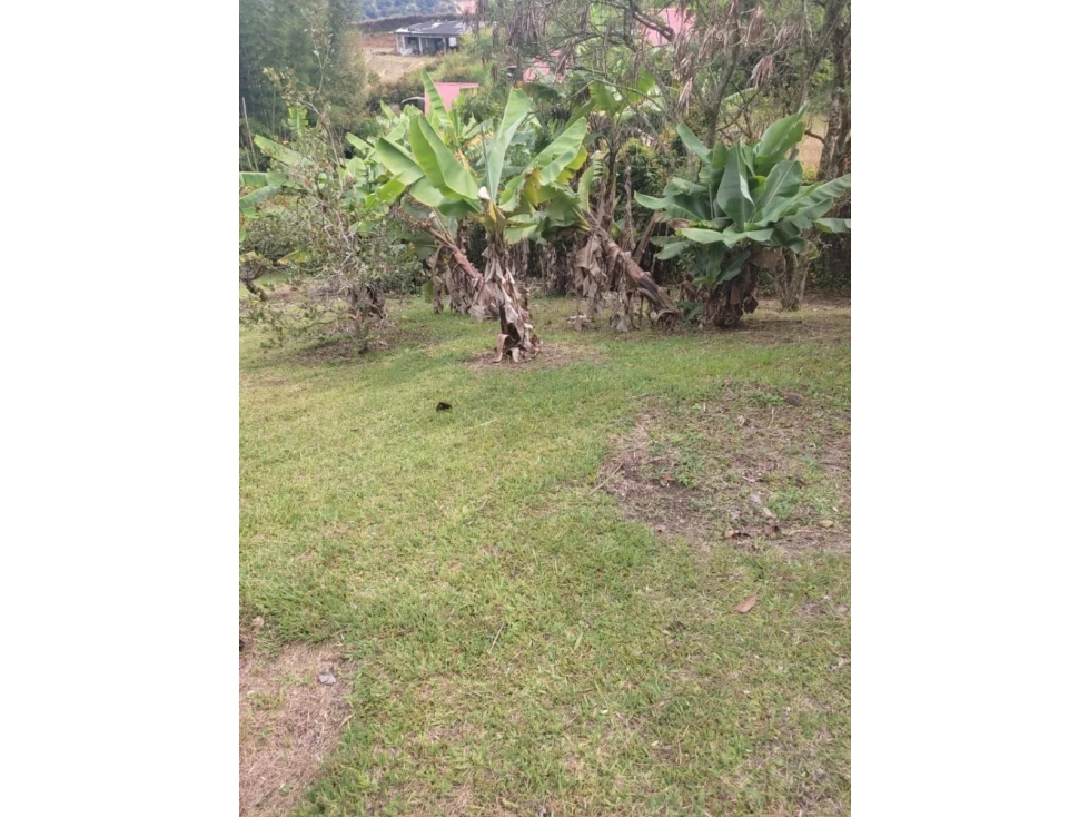 VENTA FINCA MARINILLA VÍA A GUATAPÉ — foto 3