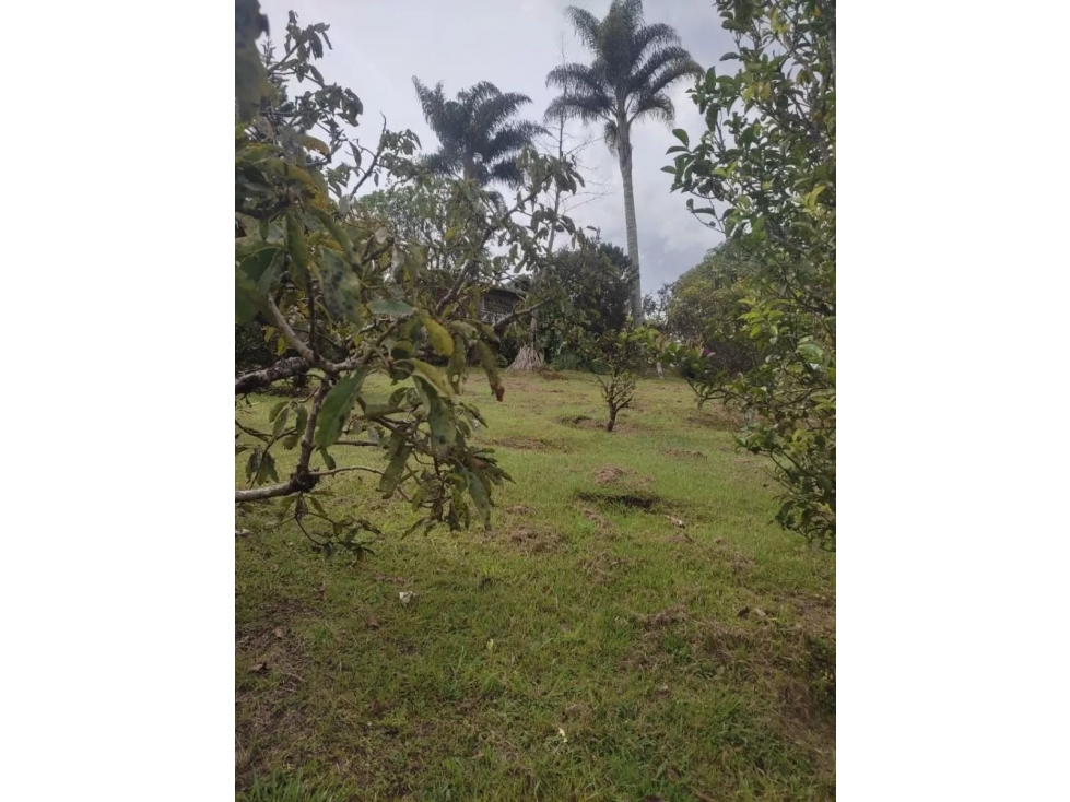 VENTA FINCA MARINILLA VÍA A GUATAPÉ — foto 6