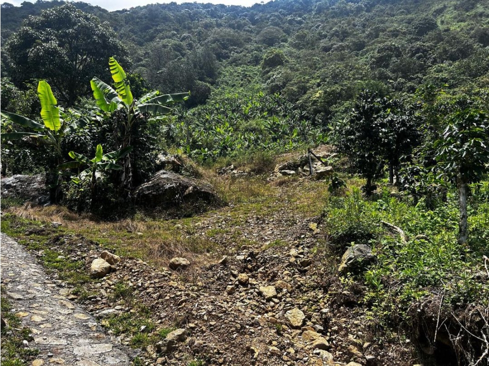 VENTA DE LOTES EN MONTEBELLO VEREDA LA PEÑA - 2