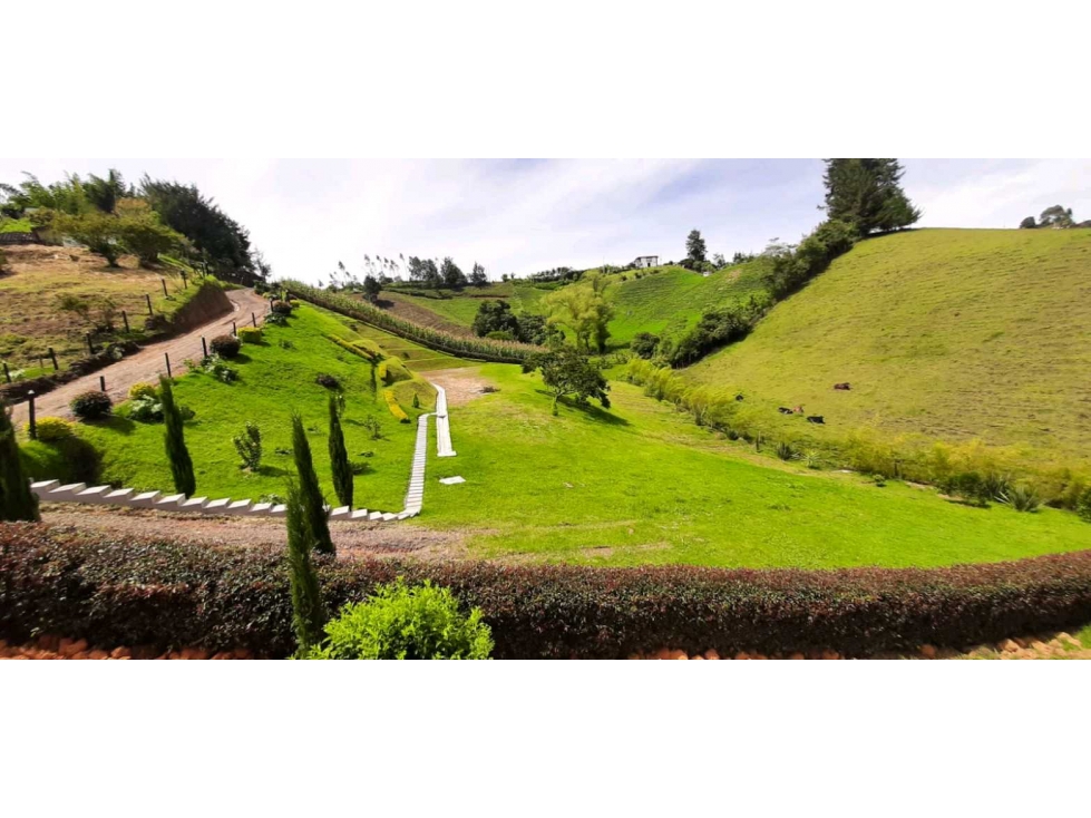Vendo lotes en el Carmen de viboral para tu casa de campo!