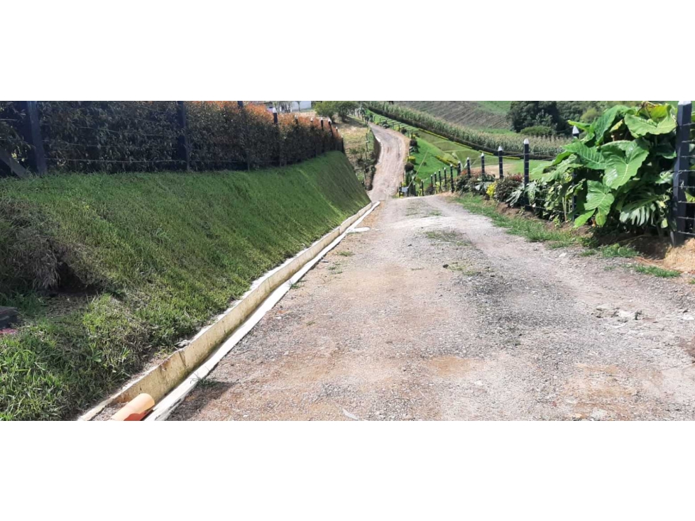 Vendo lotes en el Carmen de viboral para tu casa de campo! — foto 4