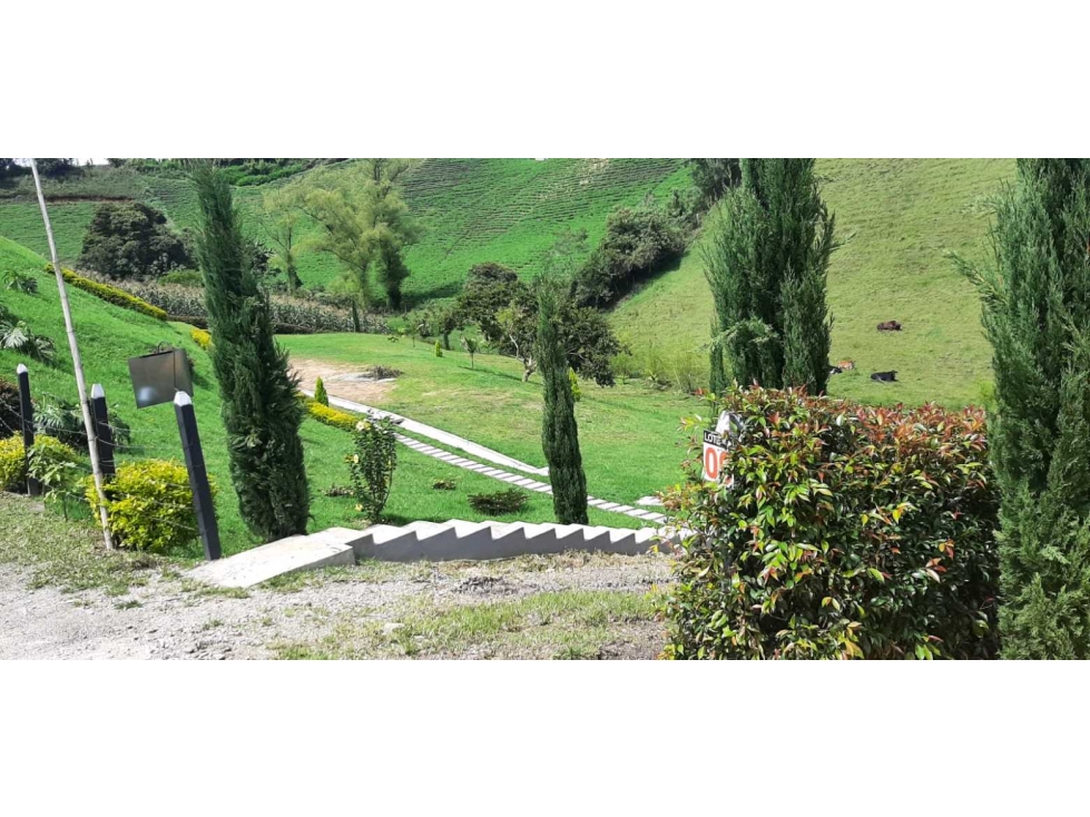 Vendo lotes en el Carmen de viboral para tu casa de campo! — foto 5