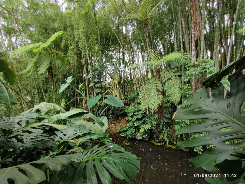 En Venta finca en Rionegro vereda el Capiro con pesebrera y fonda! — foto 6
