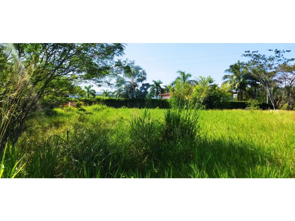 (J) Lote en venta Santa Fe de Antioquia Parcelación Pangordito — foto 6
