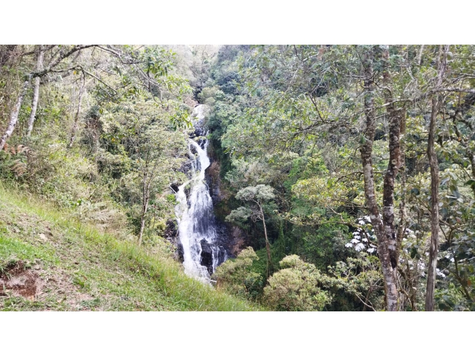 (J) Finca en el Retiro 96.000 mt2 con Reserva Natural — foto 2