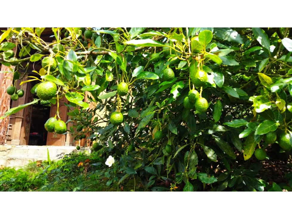 (J) Finca en el Retiro 96.000 mt2 con Reserva Natural — foto 3