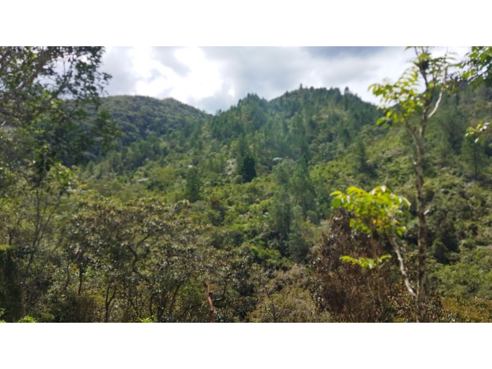 (J) Finca en el Retiro 96.000 mt2 con Reserva Natural — foto 4