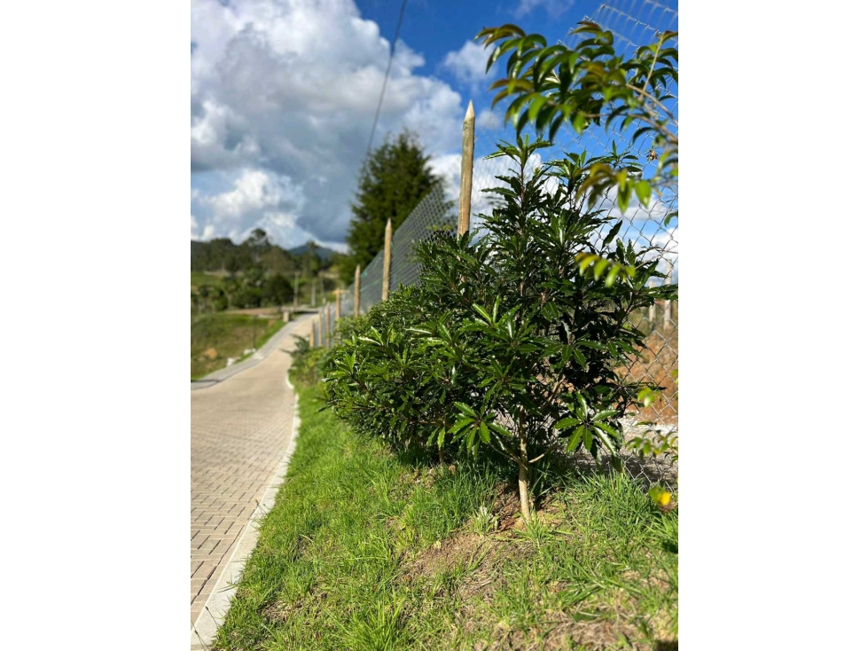 (J) Lote en venta Rionegro cerca al aeropuerto — foto 4