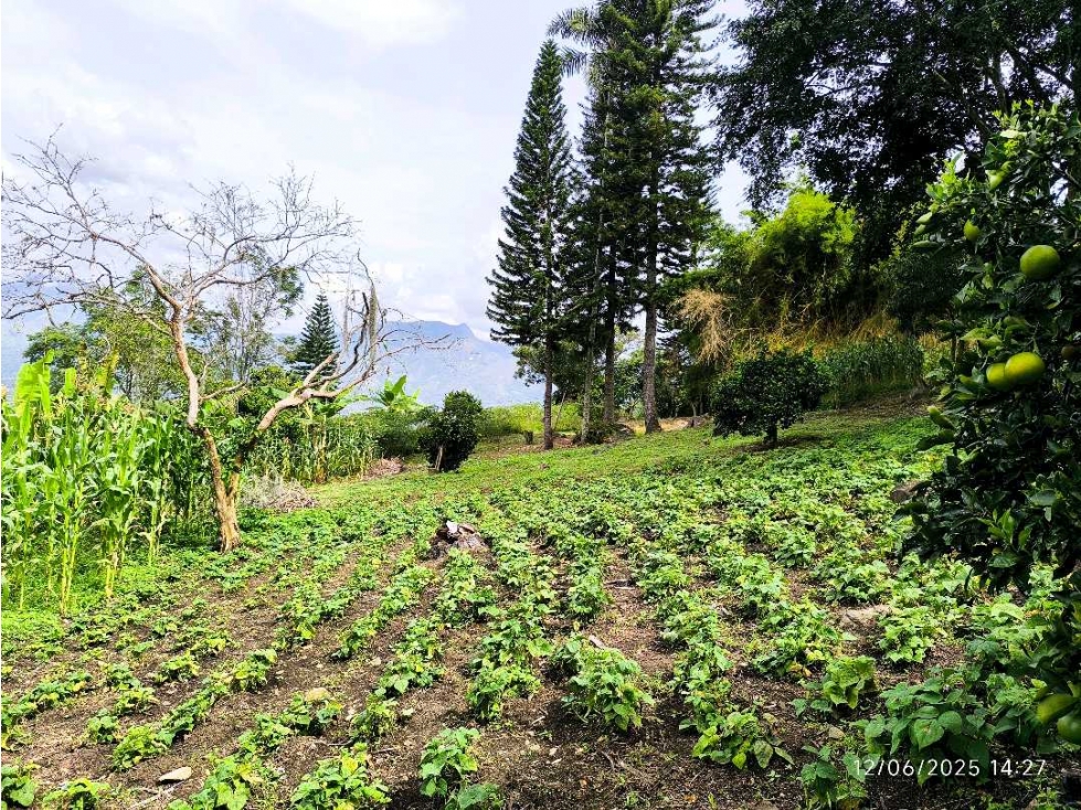 (J) Lote en venta en Copacabana Vereda El Zarzal — foto 2