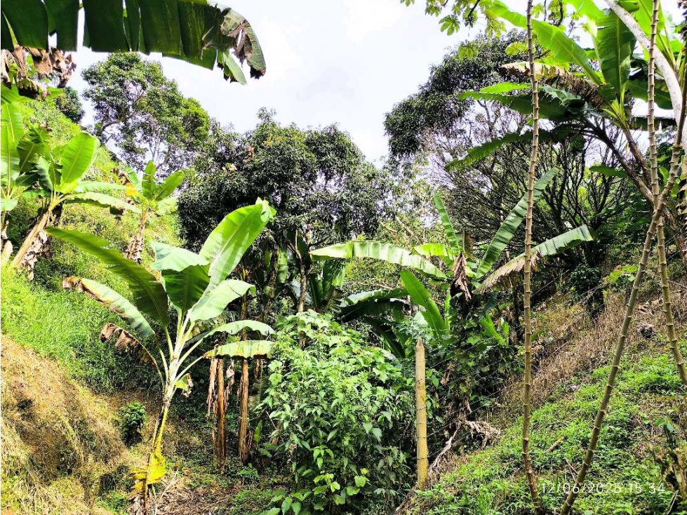 (J) Finca en venta Barbosa (Ant) Vereda Potrerito — foto 4