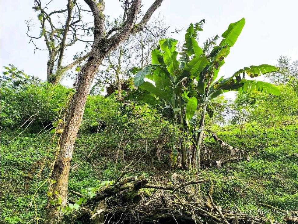 (J) Finca en venta Barbosa (Ant) Vereda Potrerito — foto 6