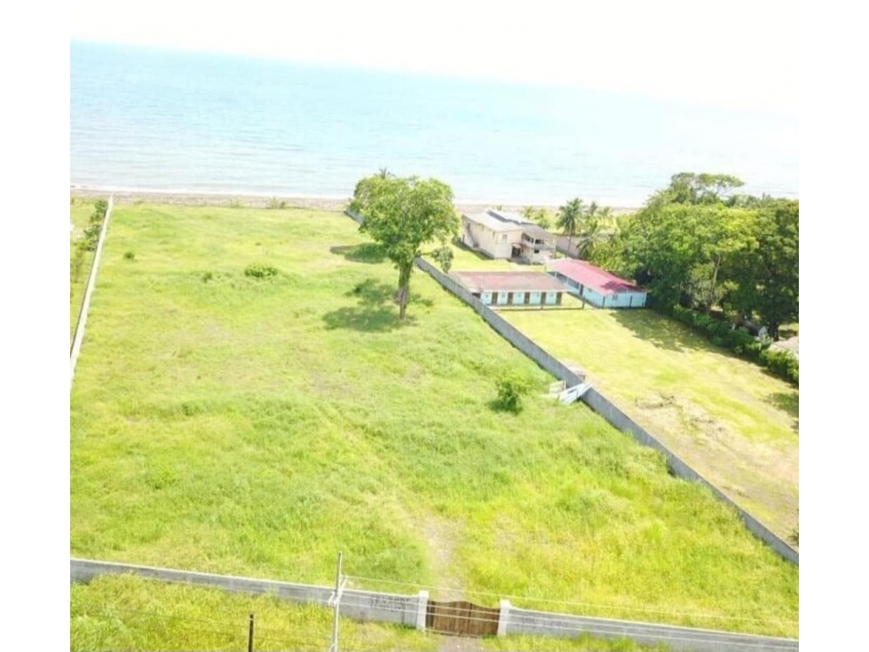 Se Vende terreno en Menchí, María Chiquita - Colón (MZ) - 4