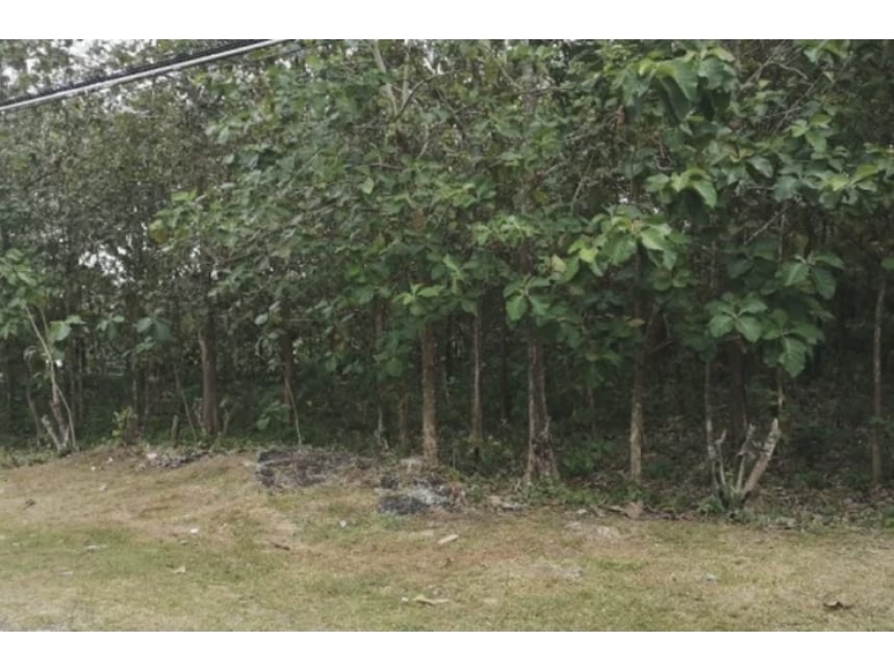 Se vende terreno en Capira, Panamá Oeste ( CG-D) - 1