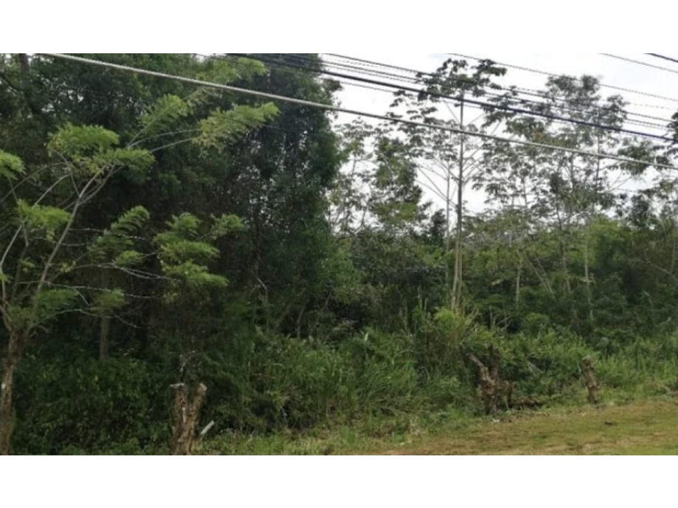 Se vende terreno en Capira, Panamá Oeste ( CG-D) - 2