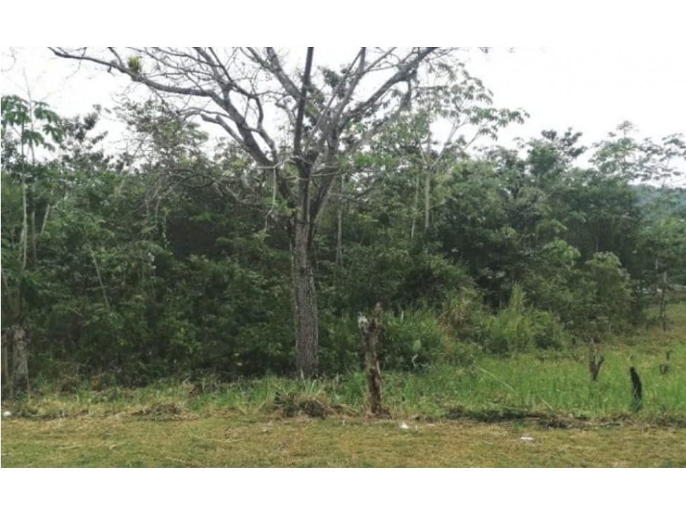 Se vende terreno en Capira, Panamá Oeste ( CG-D) - 3