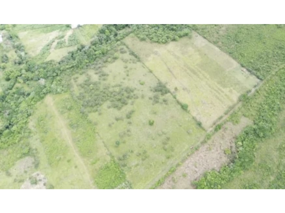 Se Vende terreno en Chiriquí (RSdeR-D) - 2