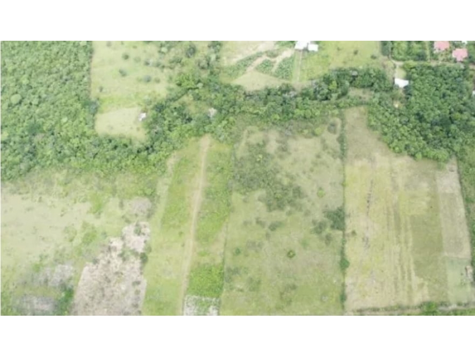 Se Vende terreno en Chiriquí (RSdeR-D) - 3