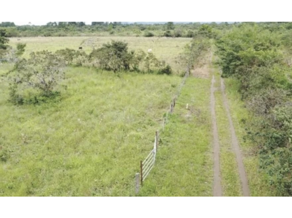 Se Vende terreno en Chiriquí (RSdeR-D) - 4