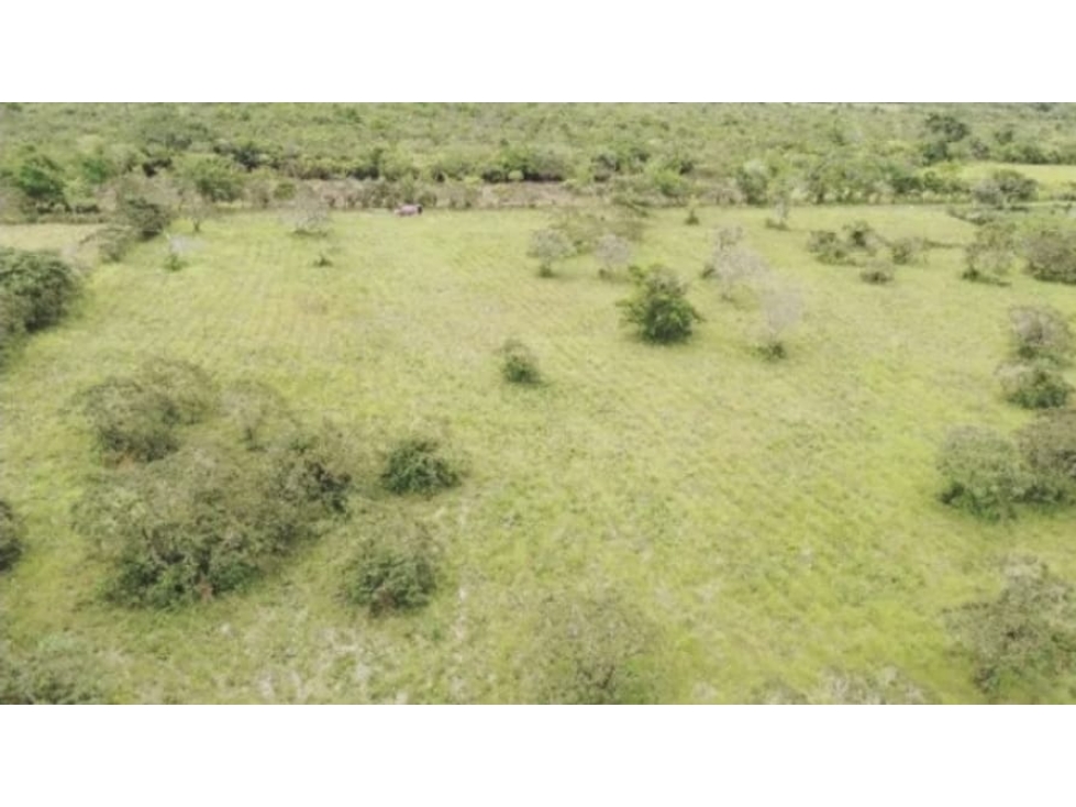 Se Vende terreno en Chiriquí (RSdeR-D) - 1