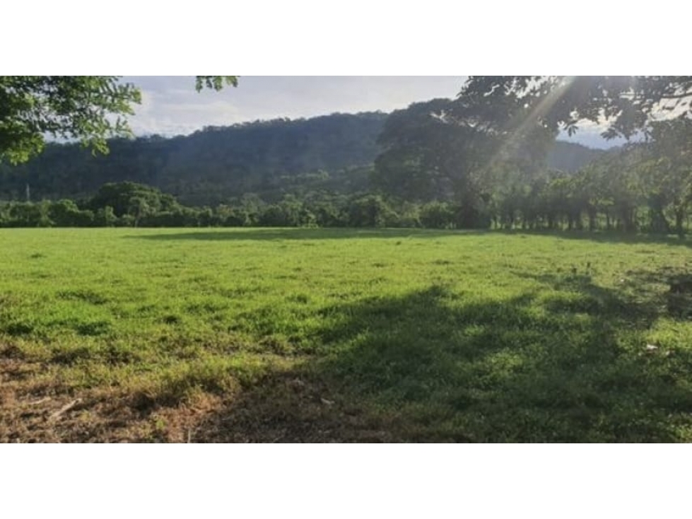 Se Vende terreno en Chiriquí (RSdeR-D) - 2