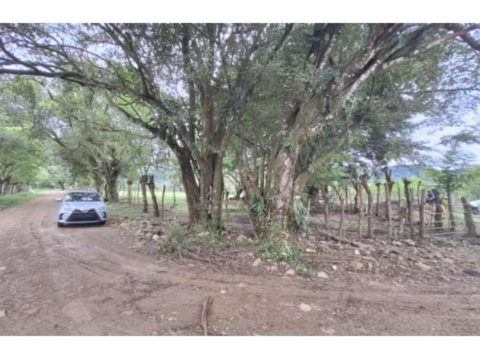 Se Vende terreno en Chiriquí (RSdeR-D) - 3