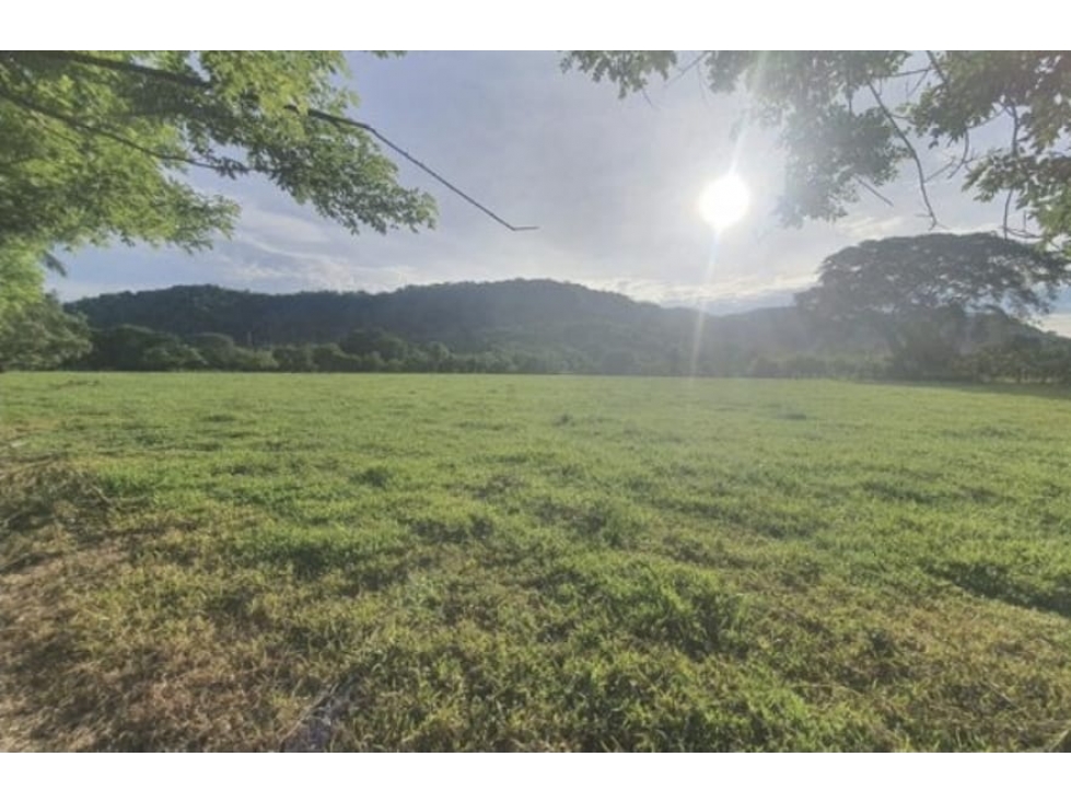 Se Vende terreno en Chiriquí (RSdeR-D) - 4