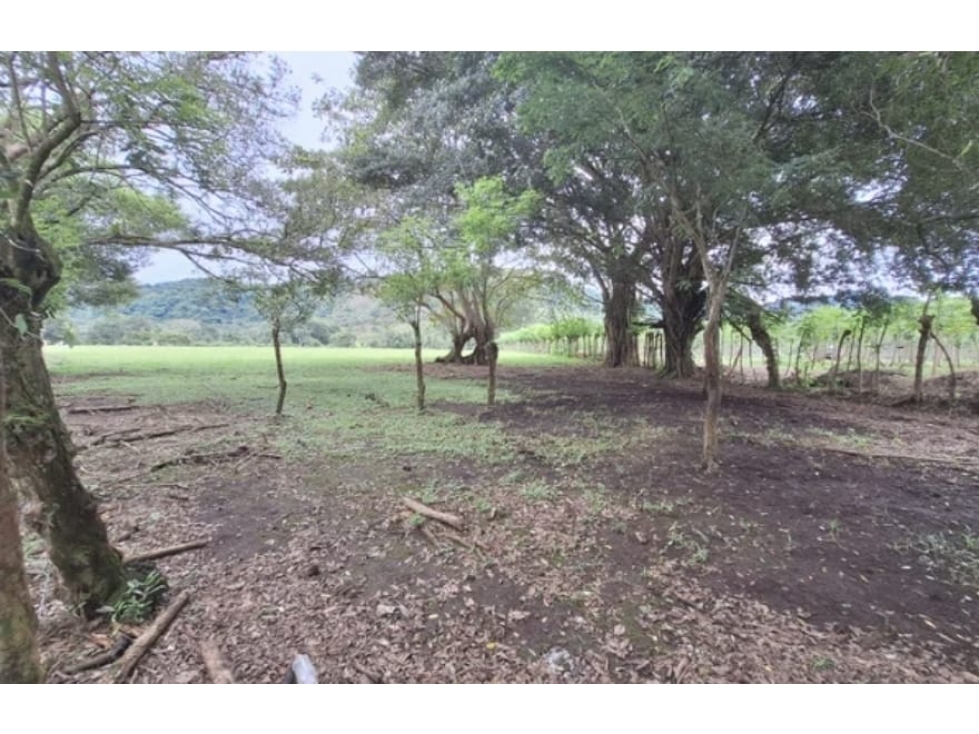 Se Vende terreno en Chiriquí (RSdeR-D) - 5