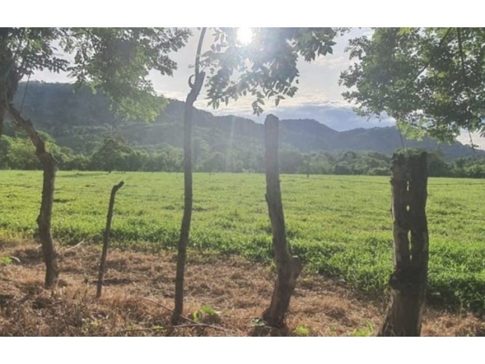 Se Vende terreno en Chiriquí (RSdeR-D) - 6