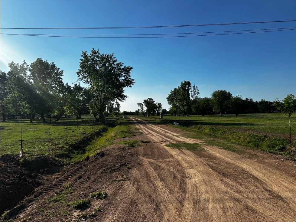 Lotes a la venta en Olivera, Luján — foto 5
