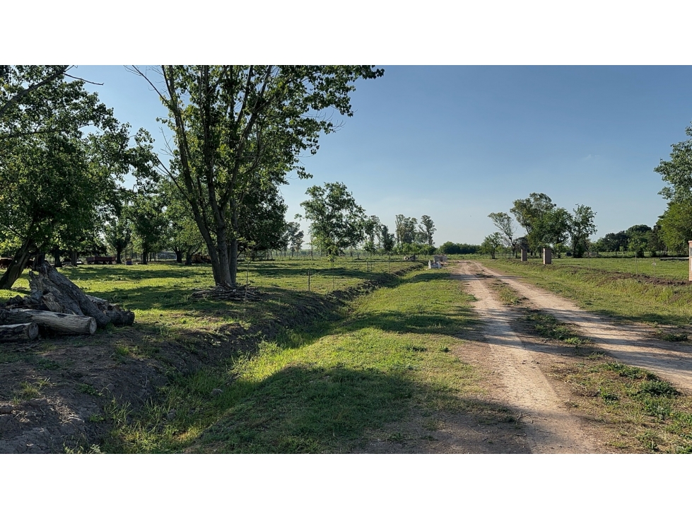 Lote a la venta Olivera, Luján, Buenos Aires — foto 5