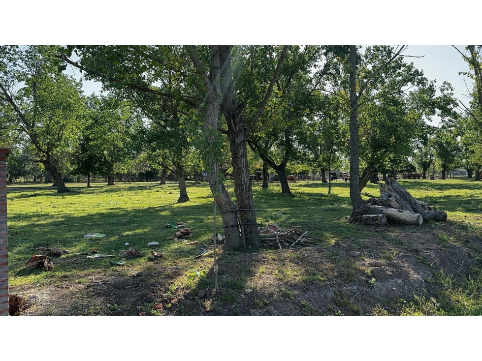 Lote a la venta Olivera, Luján, Buenos Aires — foto 6