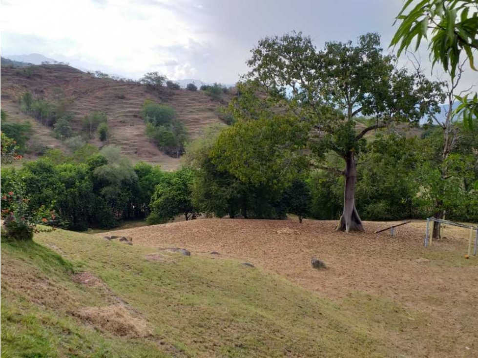 VENDO FINCA EN SAN JERONIMO — foto 3