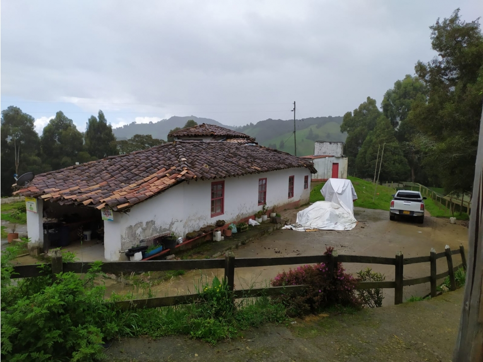 VENDO FINCA GANADERA EN SAN PEDRO DE LOS MILAGROS — foto 3