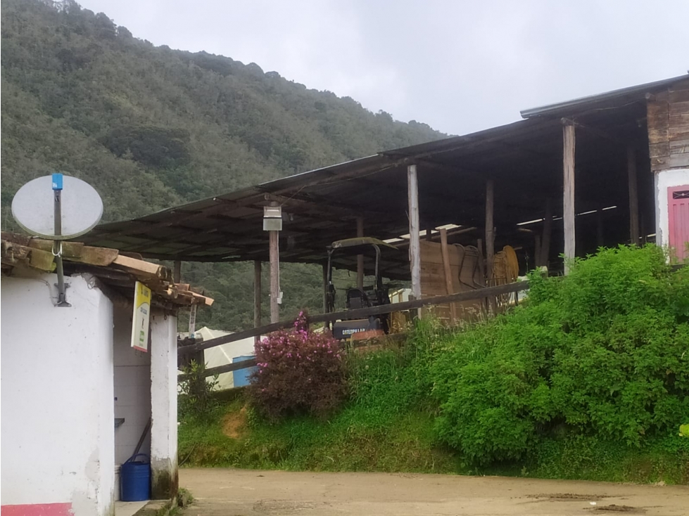 VENDO FINCA GANADERA EN SAN PEDRO DE LOS MILAGROS — foto 4
