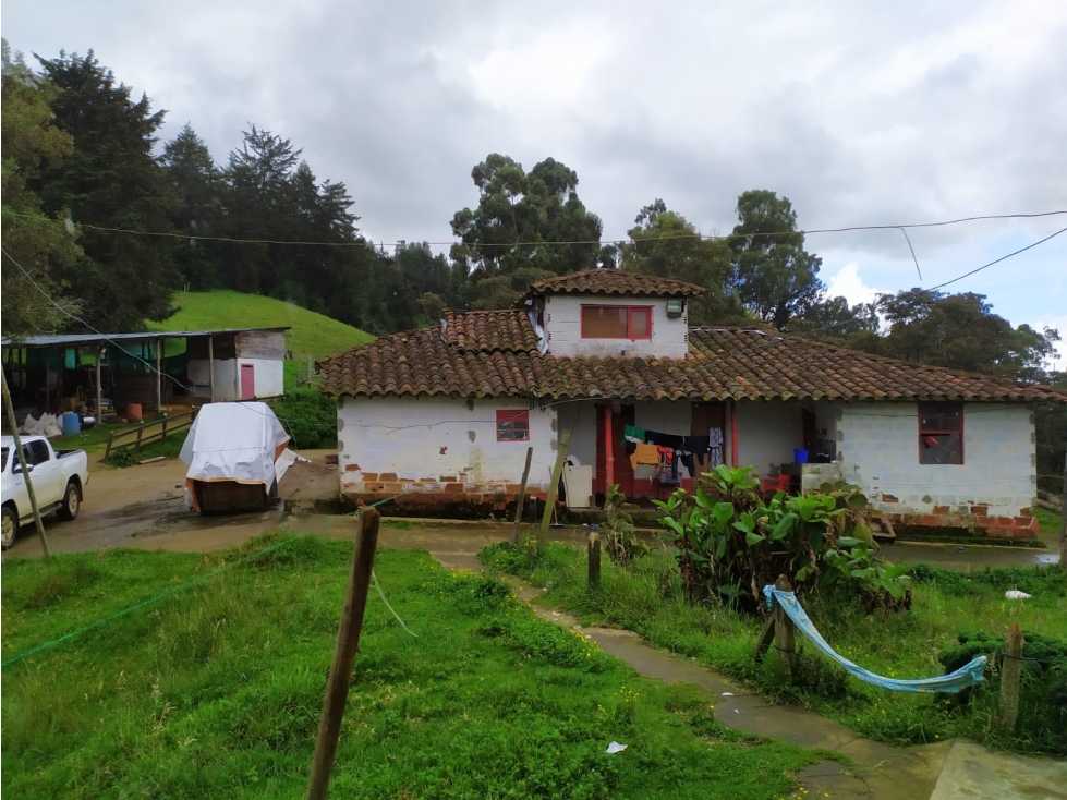 VENDO FINCA GANADERA EN SAN PEDRO DE LOS MILAGROS — foto 5