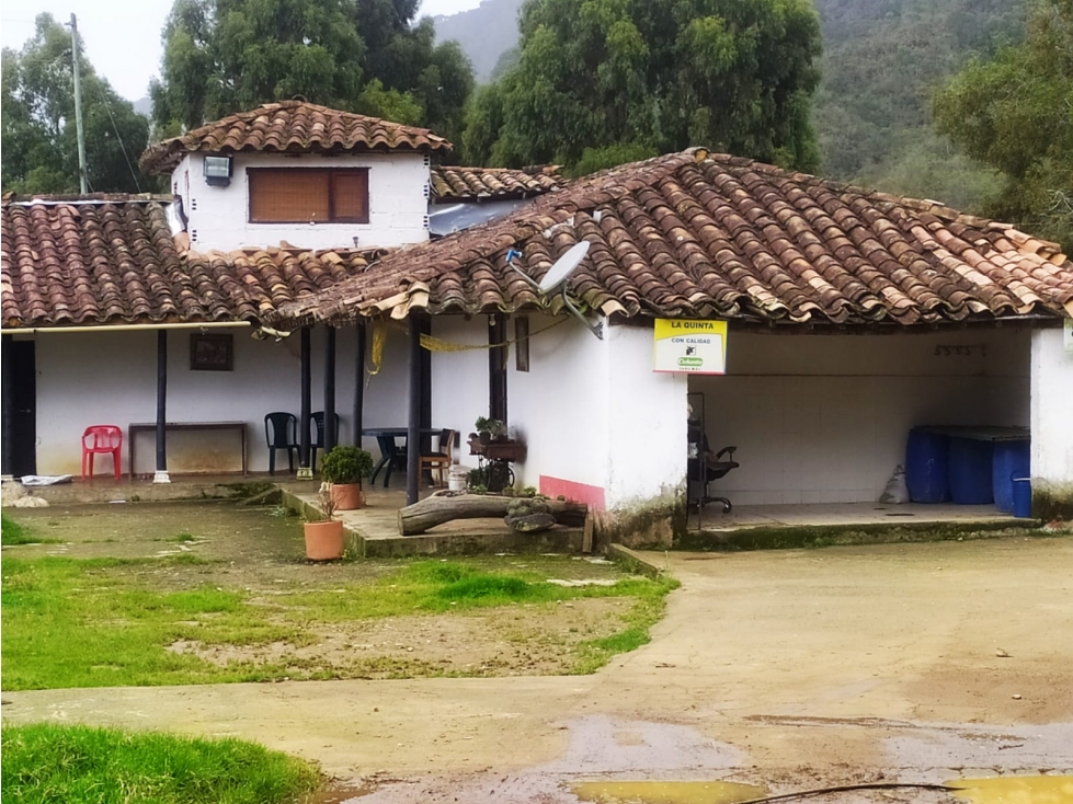 VENDO FINCA GANADERA EN SAN PEDRO DE LOS MILAGROS — foto 6