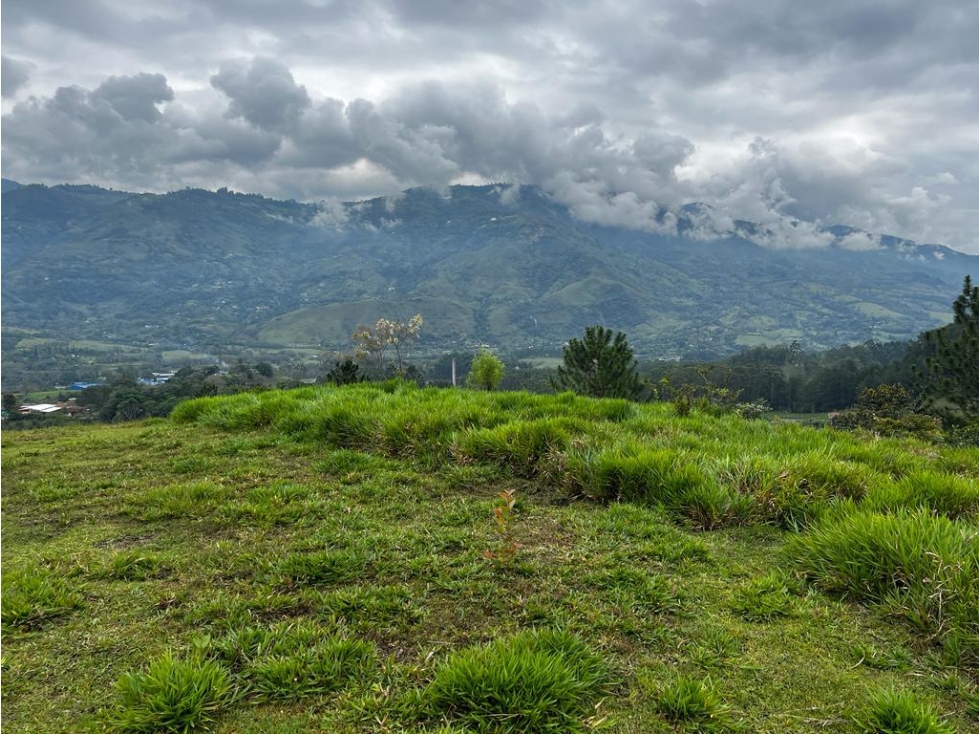 LM Lote Barbosa Vereda La Llanita — foto 2