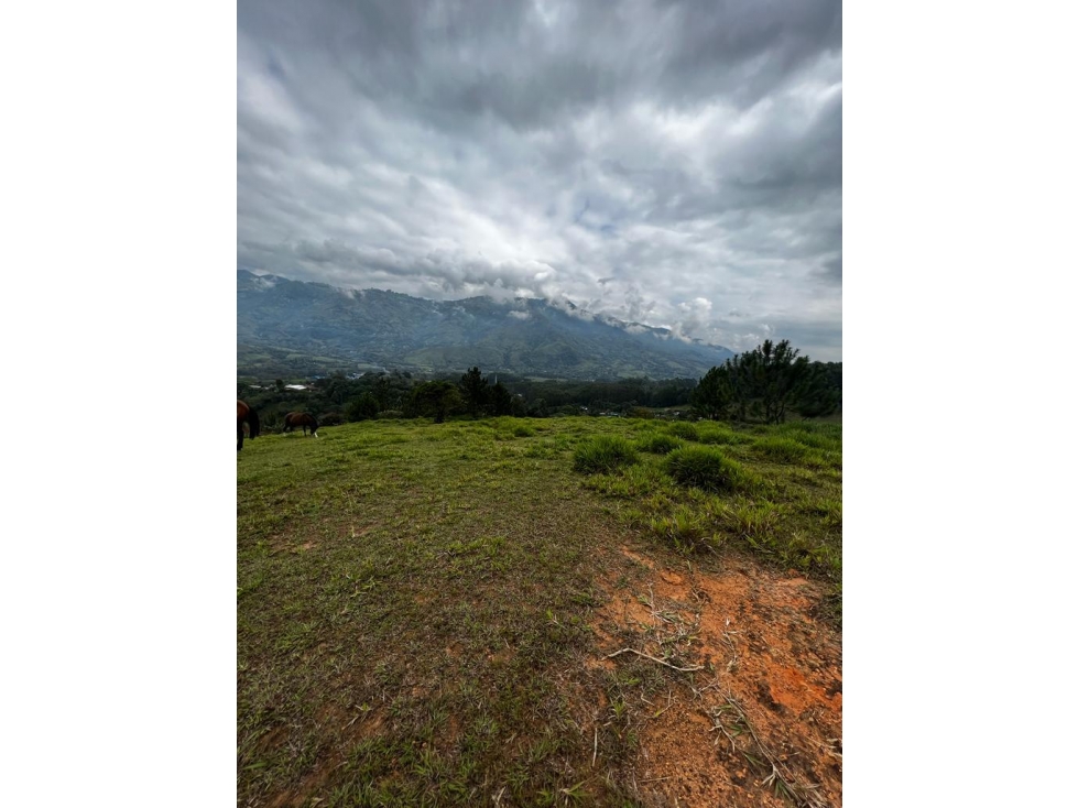 LM Lote Barbosa Vereda La Llanita — foto 3