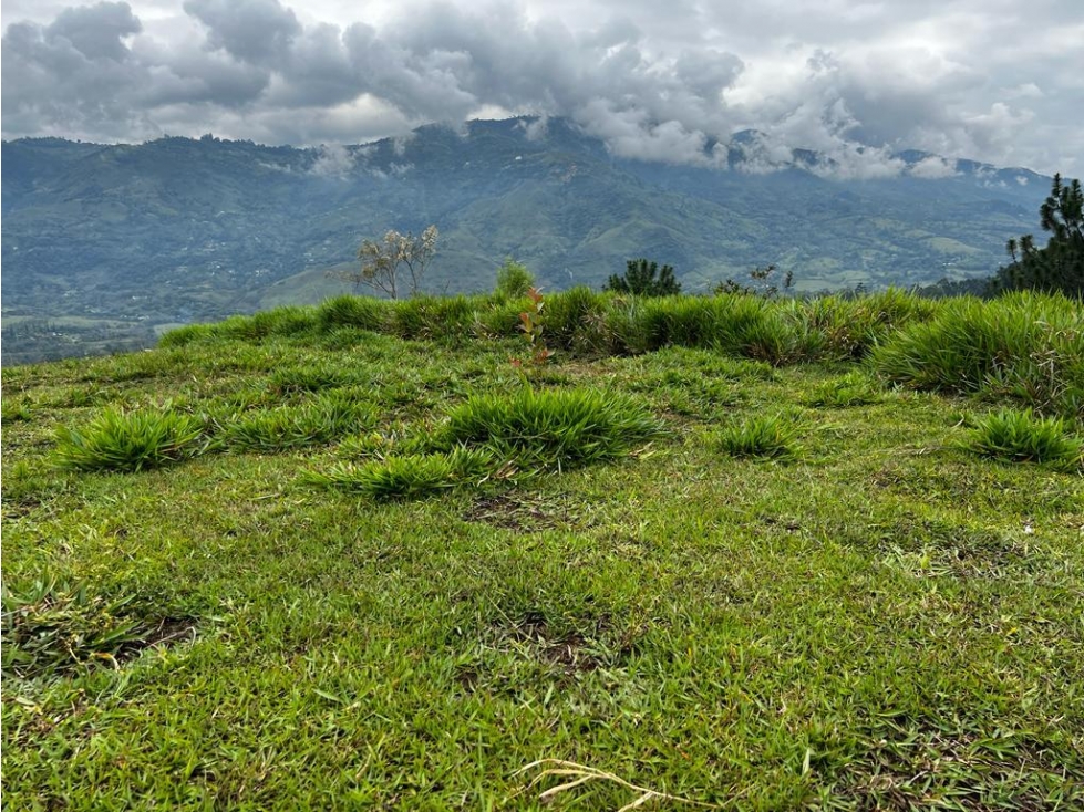 LM Lote Barbosa Vereda La Llanita — foto 4