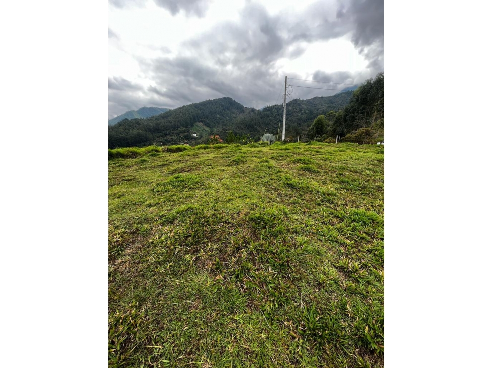 LM Lote Barbosa Vereda La Llanita — foto 6