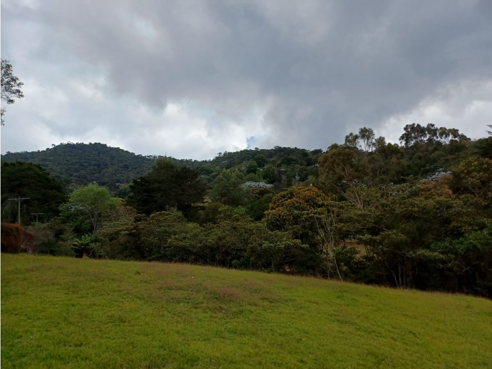 LOTE EN LA CEJA - PARCELACION EL YARUMO - VISTA PANORAMICA — foto 2