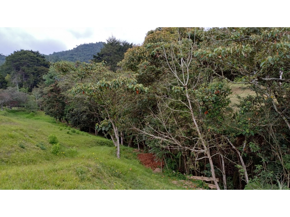 LOTE EN LA CEJA - PARCELACION EL YARUMO - VISTA PANORAMICA — foto 3