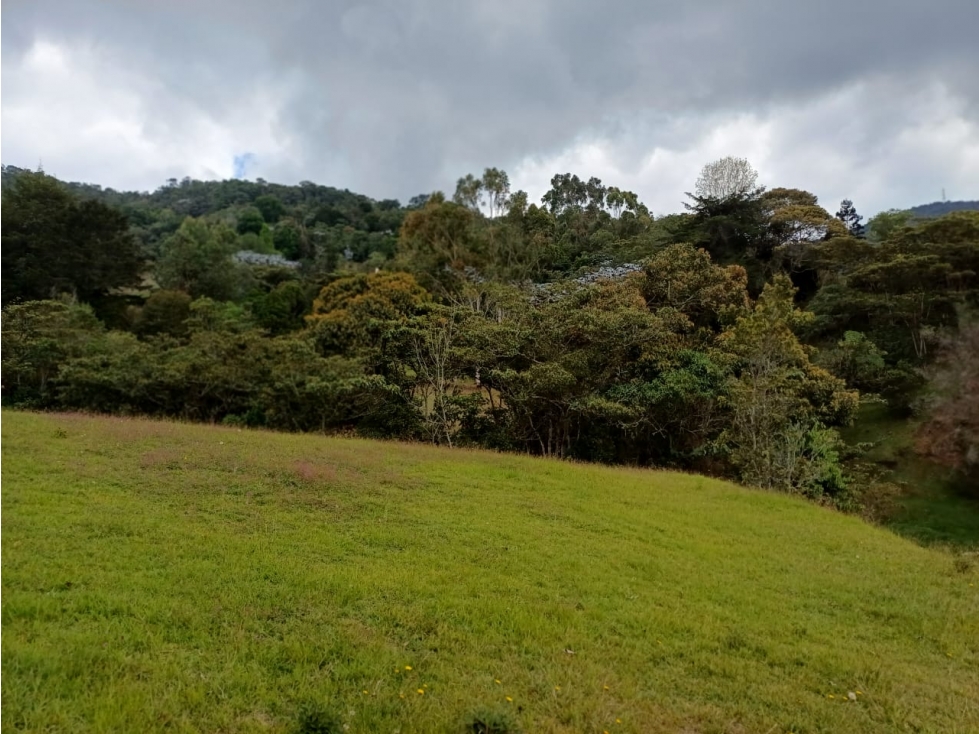 LOTE EN LA CEJA - PARCELACION EL YARUMO - VISTA PANORAMICA — foto 4